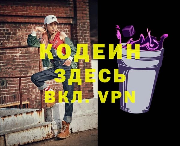 крисы Горняк