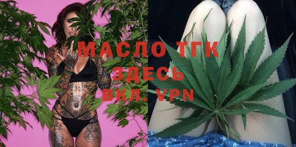 крисы Горняк