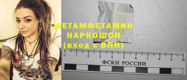 крисы Горняк