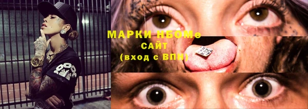 крисы Горняк